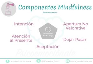 Componentes Mindfulness Psicoemocionate